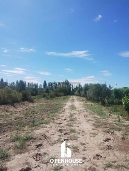 Finca en Venta en Maipu, Mendoza