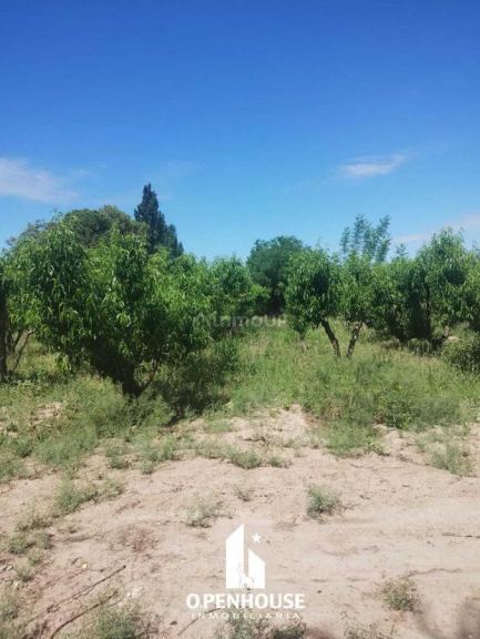 Finca en Venta en Maipu, Mendoza