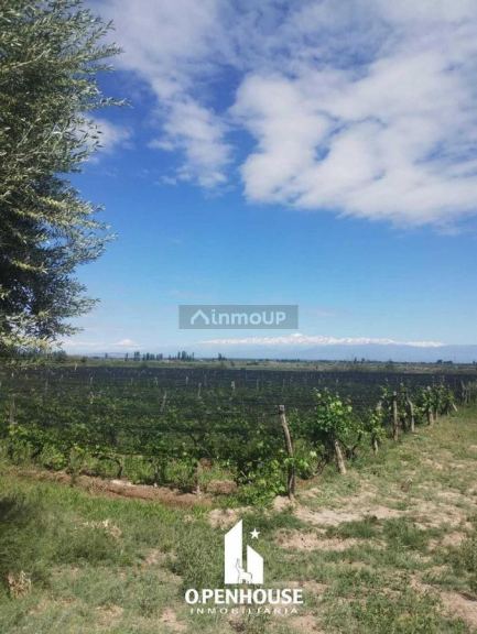 Finca en Venta en Maipu, Mendoza