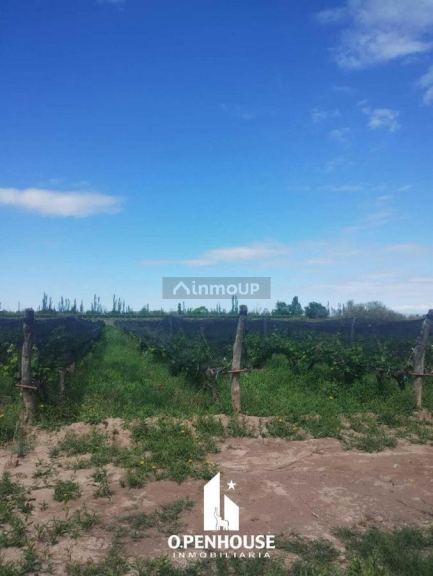 Finca en Venta en Maipu, Mendoza