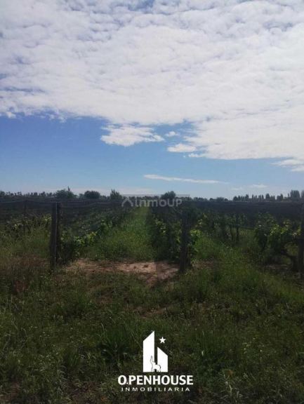 Finca en Venta en Maipu, Mendoza
