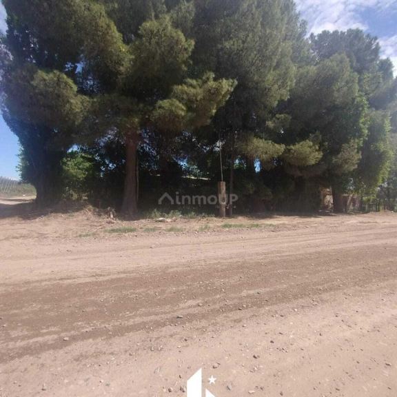 Finca en Venta en Maipu, Mendoza