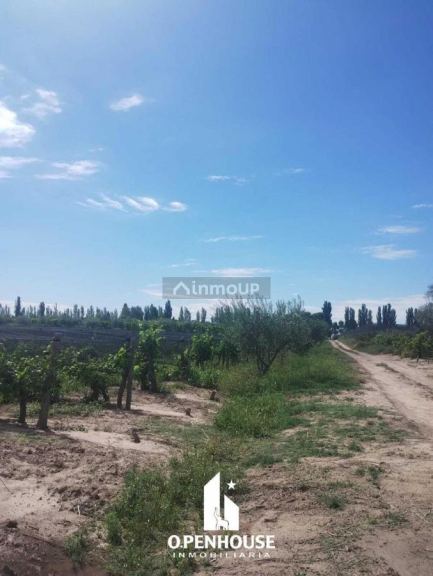 Finca en Venta en Maipu, Mendoza