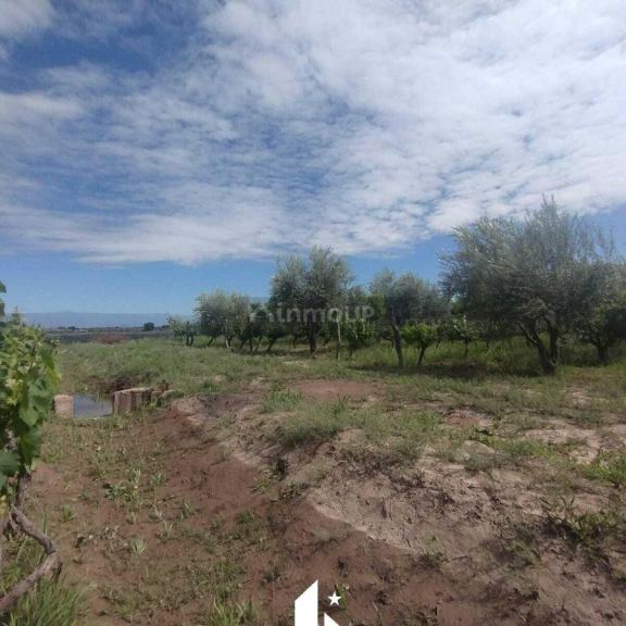 Finca en Venta en Maipu, Mendoza