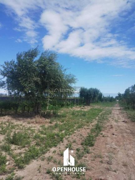 Finca en Venta en Maipu, Mendoza
