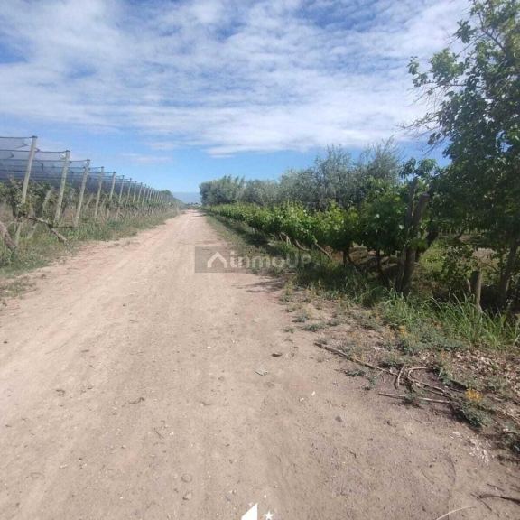 Finca en Venta en Maipu, Mendoza