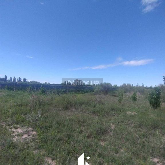 Finca en Venta en Maipu, Mendoza