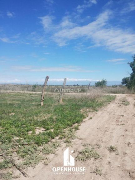 Finca en Venta en Maipu, Mendoza