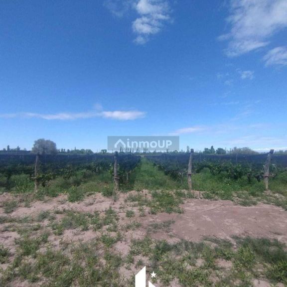 Finca en Venta en Maipu, Mendoza