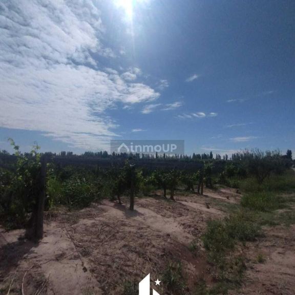 Finca en Venta en Maipu, Mendoza