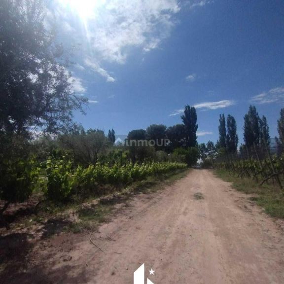 Finca en Venta en Maipu, Mendoza