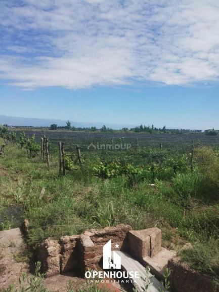 Finca en Venta en Maipu, Mendoza