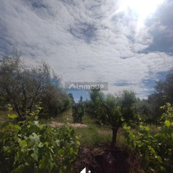 Finca en Venta en Maipu, Mendoza