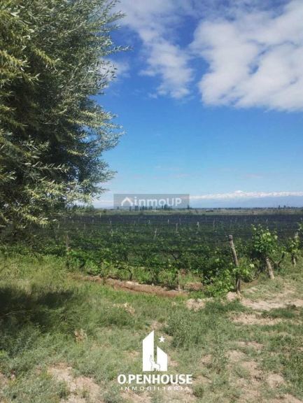 Finca en Venta en Maipu, Mendoza