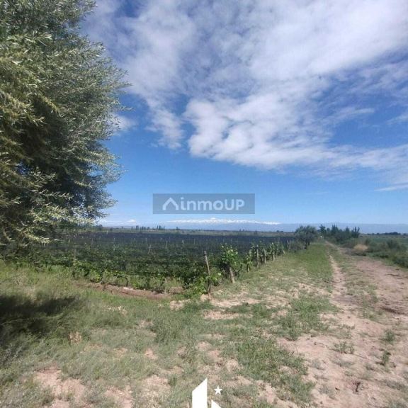 Finca en Venta en Maipu, Mendoza
