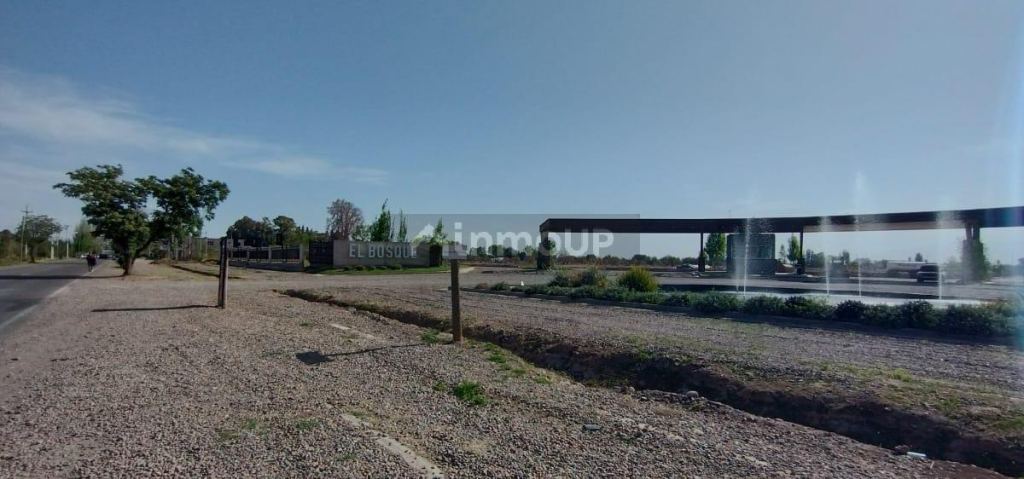 Terreno en Venta en Maipu, Mendoza