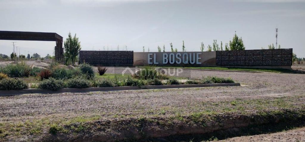 Terreno en Venta en Maipu, Mendoza