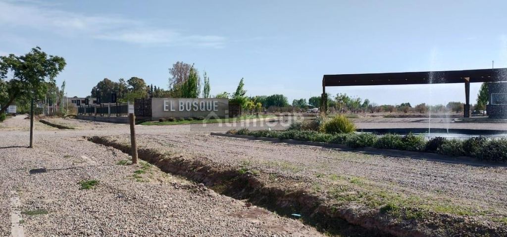 Terreno en Venta en Maipu, Mendoza