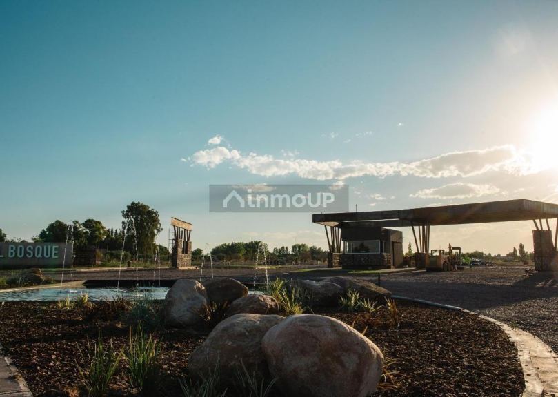 Terreno en Venta en Maipu, Mendoza