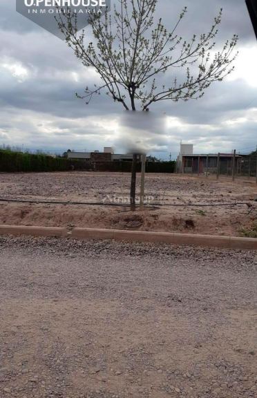 Terreno en Venta en Maipu, Mendoza