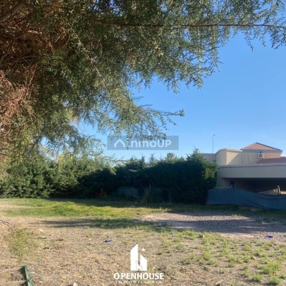 Terreno en Venta en Lujan de Cuyo, Mendoza