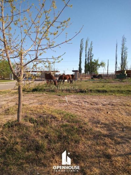 Terreno en Venta en Lujan de Cuyo, Mendoza