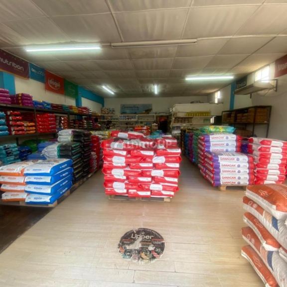 Local Comercial en Venta en Tunuyan, Mendoza