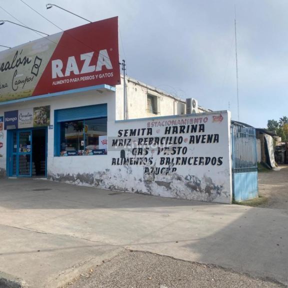 Local Comercial en Venta en Tunuyan, Mendoza