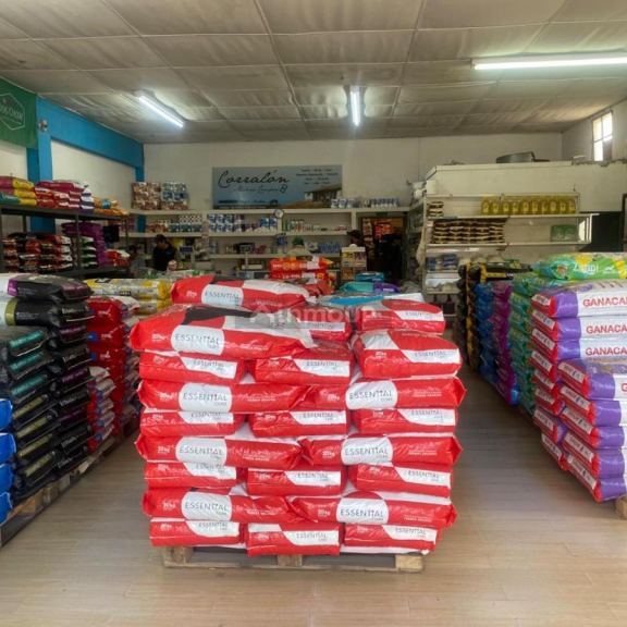 Local Comercial en Venta en Tunuyan, Mendoza
