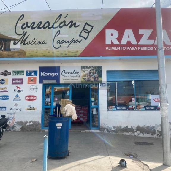 Local Comercial en Venta en Tunuyan, Mendoza