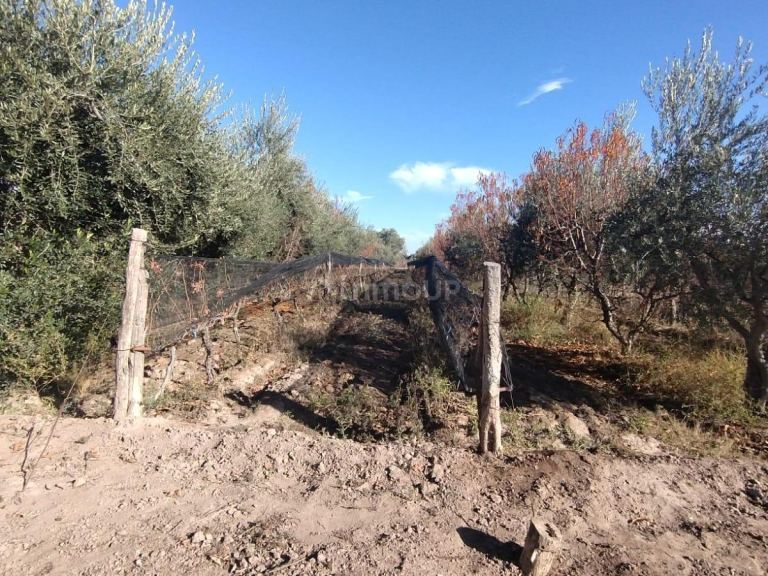 Terreno en Venta en Maipu, Mendoza