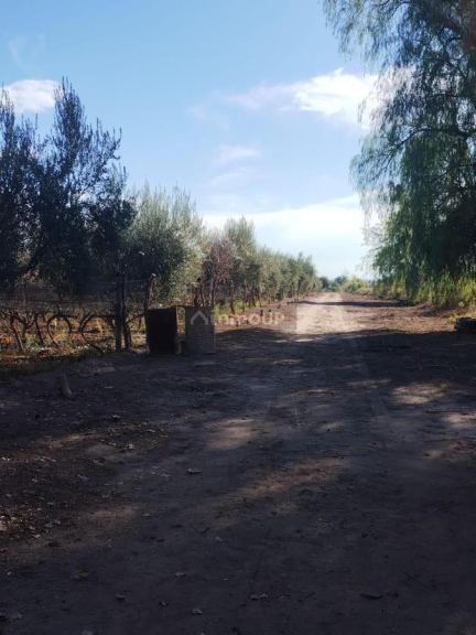 Terreno en Venta en Maipu, Mendoza