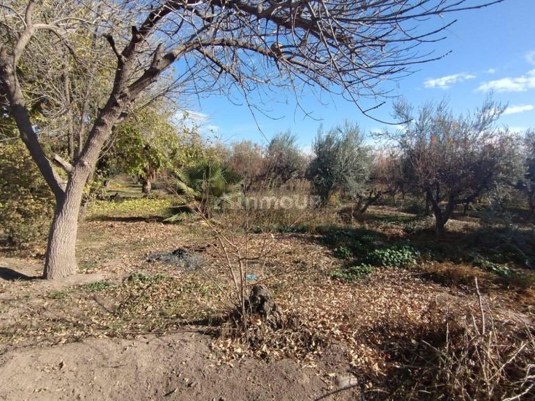 Terreno en Venta en Maipu, Mendoza