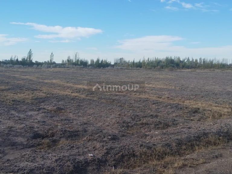 Terreno en Venta en Maipu, Mendoza