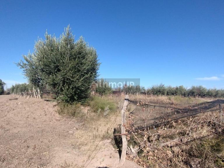 Terreno en Venta en Maipu, Mendoza