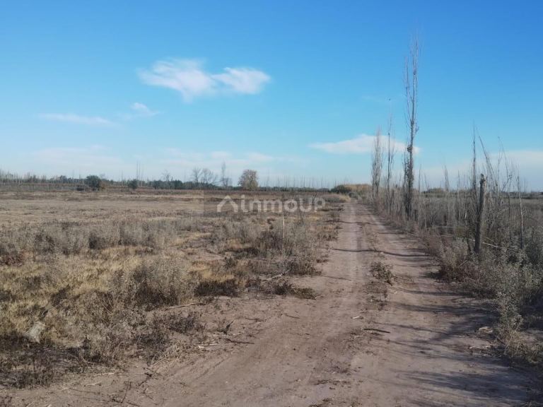 Terreno en Venta en Maipu, Mendoza