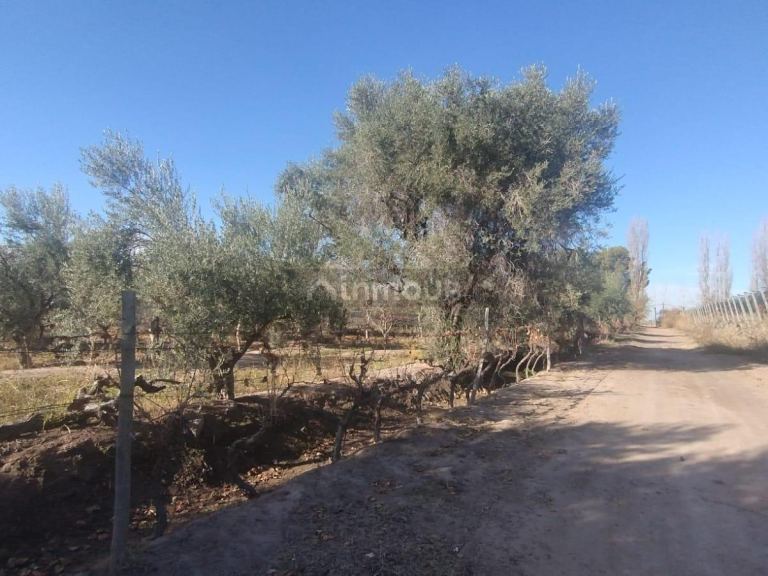 Terreno en Venta en Maipu, Mendoza