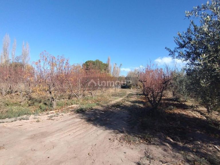 Terreno en Venta en Maipu, Mendoza