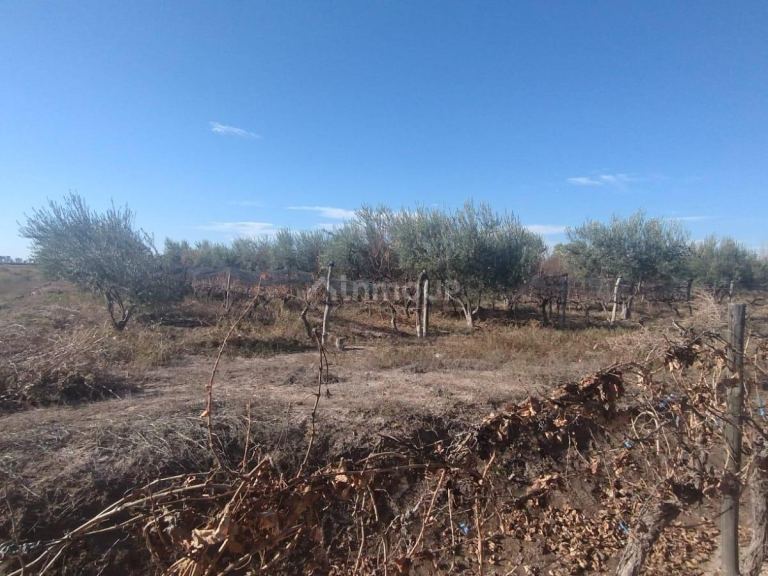 Terreno en Venta en Maipu, Mendoza