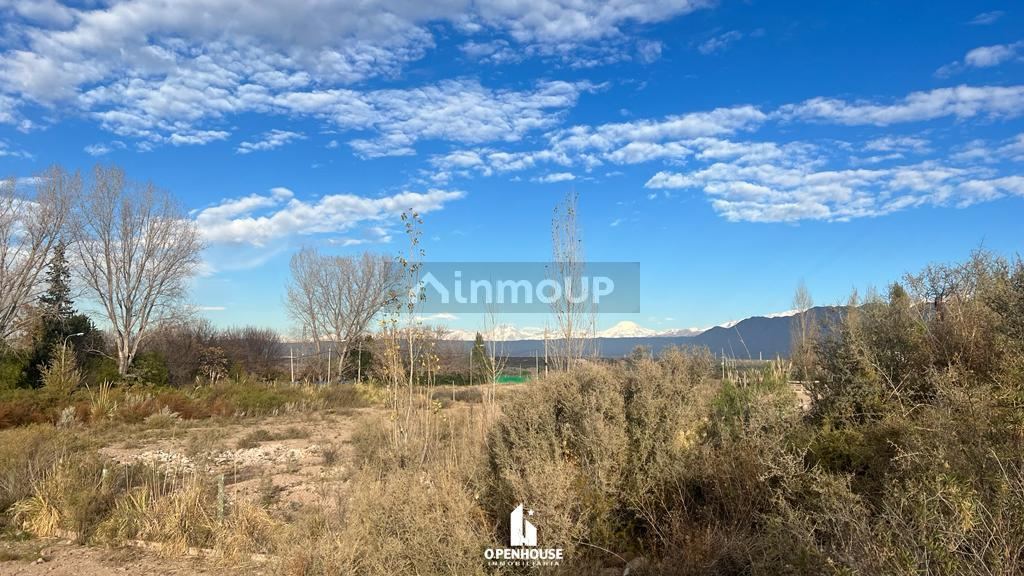 Terreno en Venta en Lujan de Cuyo, Mendoza