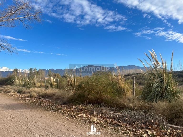 Terreno en Venta en Lujan de Cuyo, Mendoza
