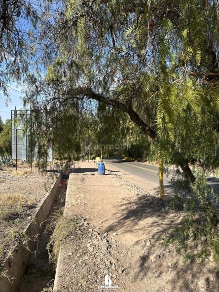 Terreno en Venta en Lujan de Cuyo, Mendoza