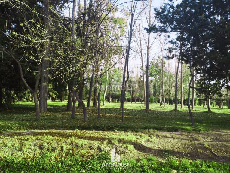 Terreno en Venta en Maipu, Mendoza