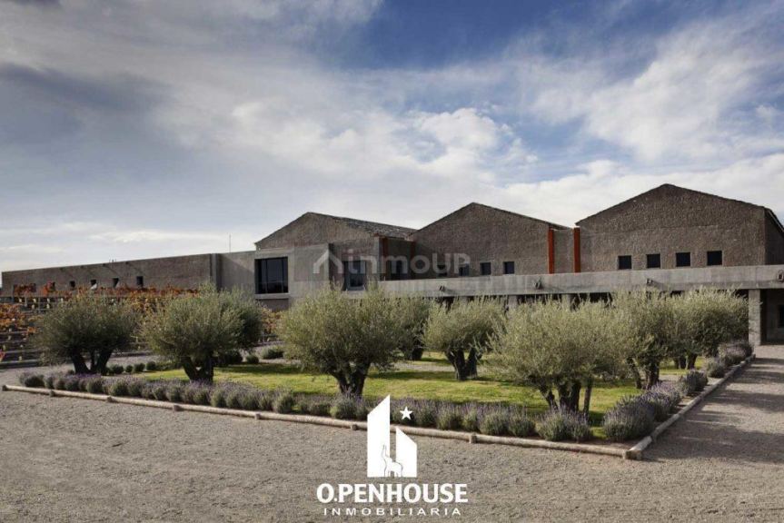 Terreno en Venta en Tupungato, Mendoza