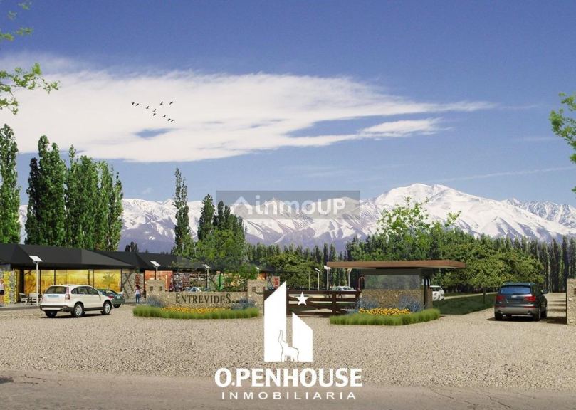 Terreno en Venta en Tupungato, Mendoza