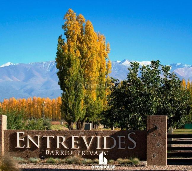 Terreno en Venta en Tupungato, Mendoza