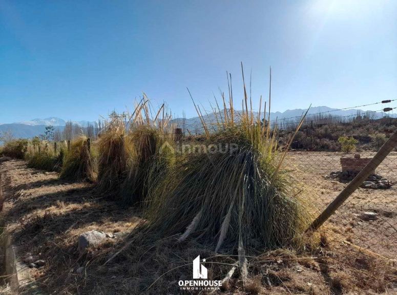 Terreno en Venta en Lujan de Cuyo, Mendoza
