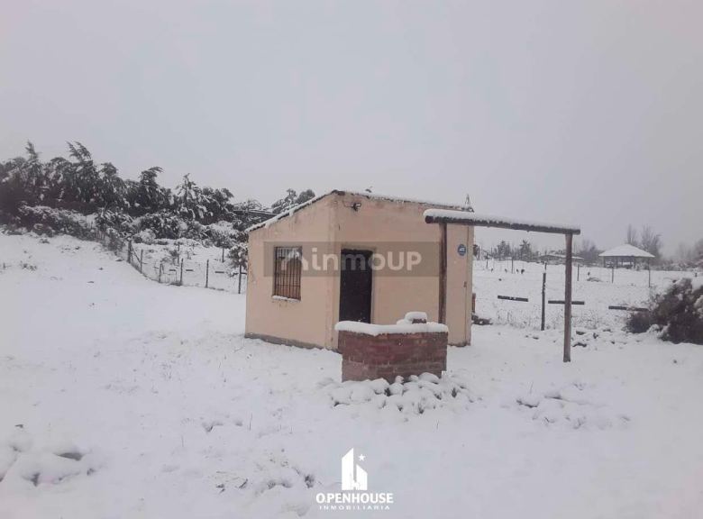 Terreno en Venta en Lujan de Cuyo, Mendoza