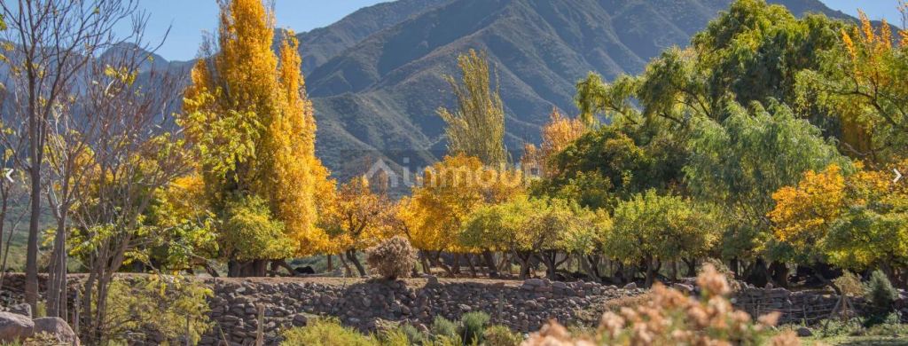 Terreno en Venta en Lujan de Cuyo, Mendoza