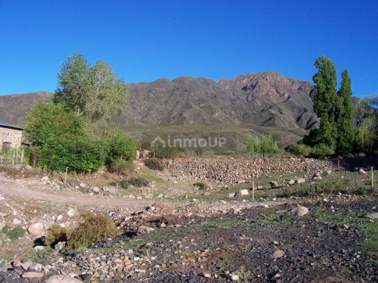 Terreno en Venta en Lujan de Cuyo, Mendoza